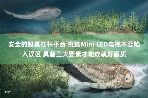 安全的股票杠杆平台 挑选Mini LED电视不要陷入误区 具备三大要素才能成就好画质