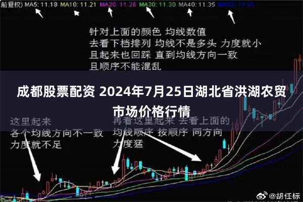 成都股票配资 2024年7月25日湖北省洪湖农贸市场价格行情