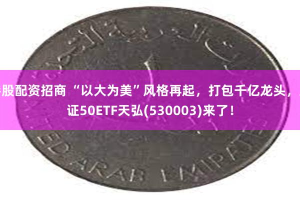 港股配资招商 “以大为美”风格再起，打包千亿龙头，上证50ETF天弘(530003)来了！