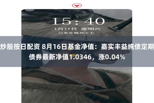 炒股按日配资 8月16日基金净值：嘉实丰益纯债定期债券最新净值1.0346，涨0.04%