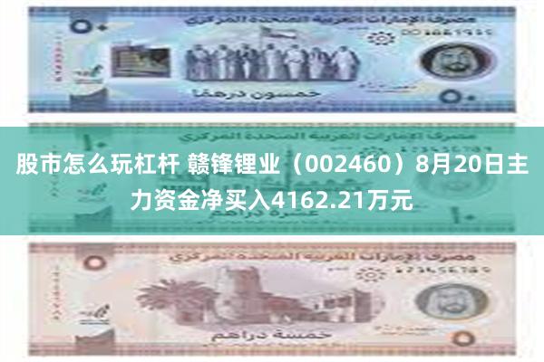 股市怎么玩杠杆 赣锋锂业（002460）8月20日主力资金净买入4162.21万元