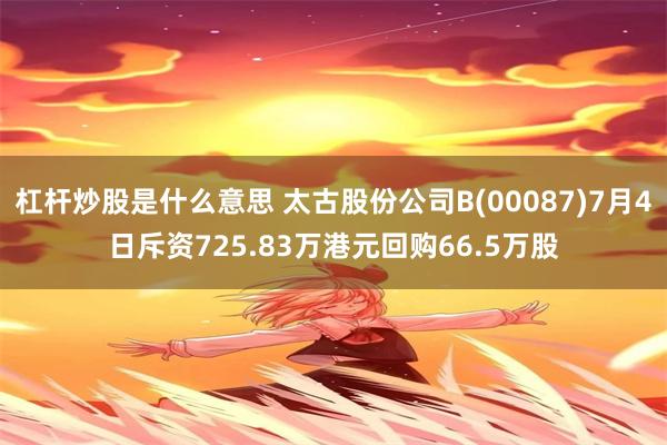 杠杆炒股是什么意思 太古股份公司B(00087)7月4日斥资725.83万港元回购66.5万股