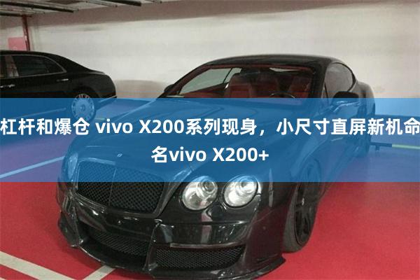 杠杆和爆仓 vivo X200系列现身，小尺寸直屏新机命名vivo X200+