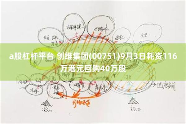 a股杠杆平台 创维集团(00751)9月3日耗资116万港元回购40万股