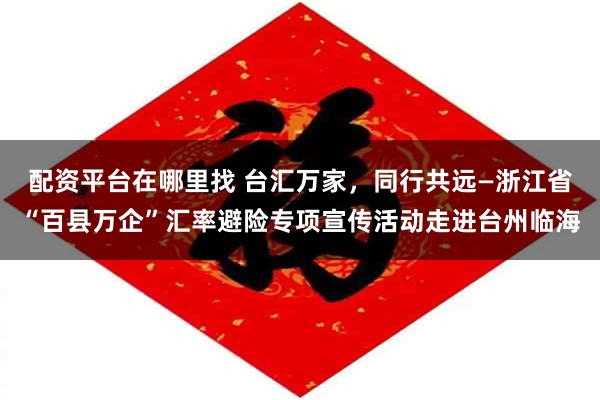 配资平台在哪里找 台汇万家，同行共远—浙江省“百县万企”汇率避险专项宣传活动走进台州临海