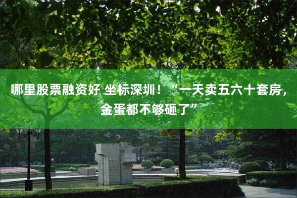 哪里股票融资好 坐标深圳！“一天卖五六十套房，金蛋都不够砸了”