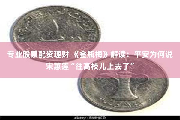 专业股票配资理财 《金瓶梅》解读：平安为何说宋蕙莲“往高枝儿上去了”