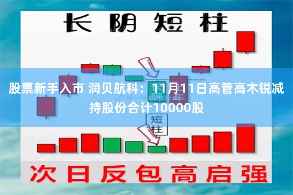 股票新手入市 润贝航科：11月11日高管高木锐减持股份合计10000股