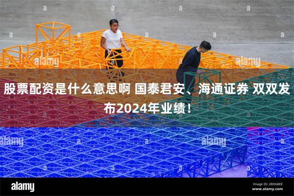 股票配资是什么意思啊 国泰君安、海通证券 双双发布2024年业绩！