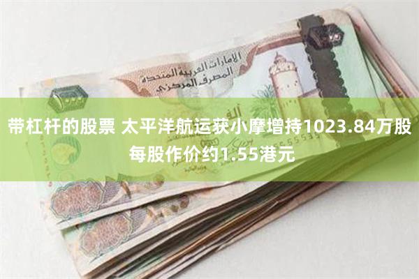 带杠杆的股票 太平洋航运获小摩增持1023.84万股 每股作价约1.55港元