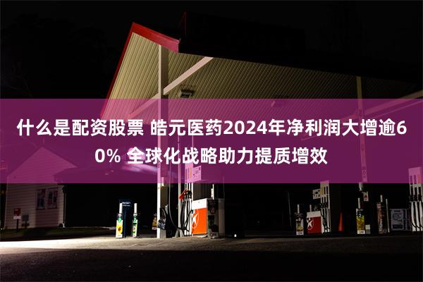 什么是配资股票 皓元医药2024年净利润大增逾60% 全球化战略助力提质增效